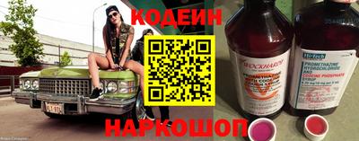apvp Гусев