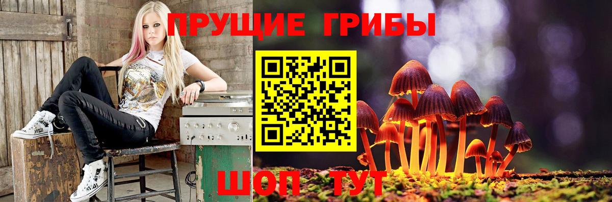 Комсомольск-на-Амуре  Галлюциногенные грибы Cubensis  Вход с VPN  дарнет шоп  Псилоцибиновые грибы Psilocybine cubensis 